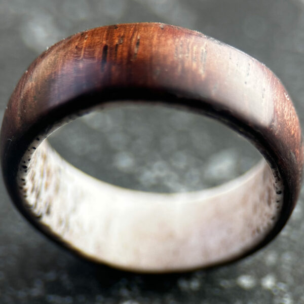 Rosewood deer antler ring